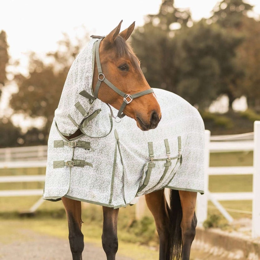 Bay horse wearing Horze Defender Combo Fly Sheet with Neck & Belly